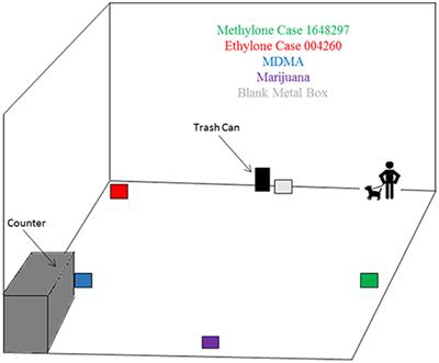 The Ability of Narcotic Detection Canines to Detect Illegal Synthetic Cathinones (Bath Salts)